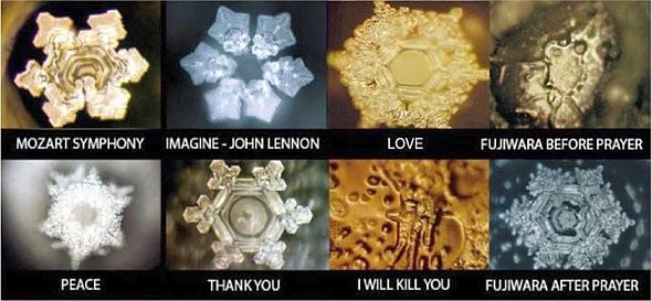 dr emoto water experiment